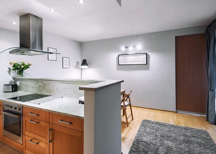 Wild Solutions Sauna Apartament Kraków