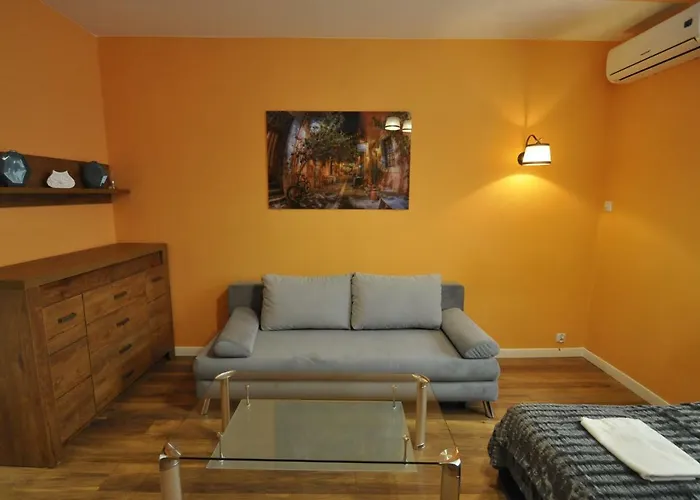 Wild Solutions Sauna 公寓 克拉科夫